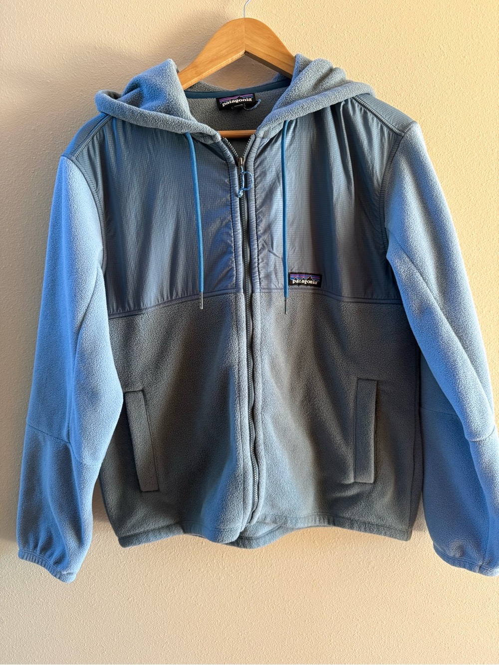 Patagonia Two-Tone Light and Slate Blue Fleece Hoodie